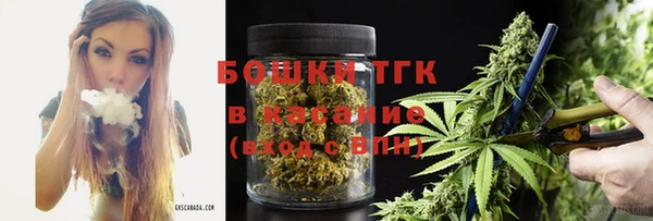прущие грибы Крымск