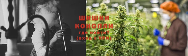 трава Новодвинск