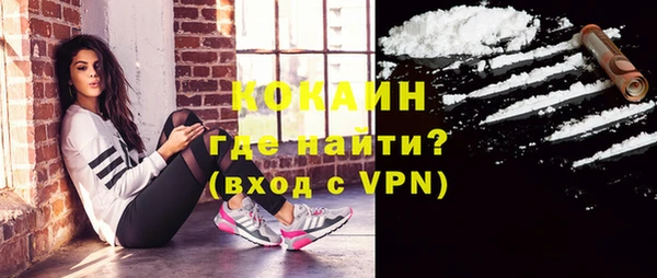 трава Новодвинск