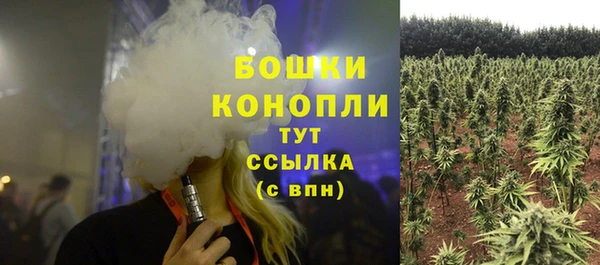 каннабис Новозыбков